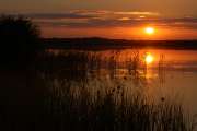2008_07_13_240_RuegenD50