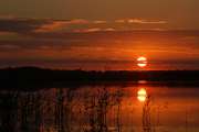 2008_07_13_270_RuegenD50