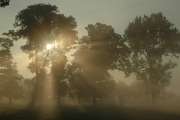 2008_08_30_37_Sommer