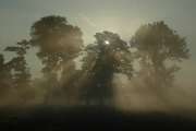 2008_08_30_63_Sommer