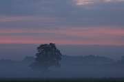 2008_09_20_18_Bruch180
