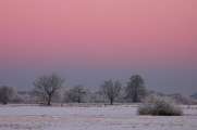 2009_01_10_153_WinterTele