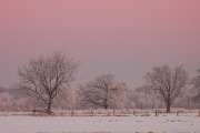 2009_01_10_161_WinterTele