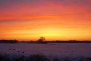 2009_01_11_22_WinterWeit