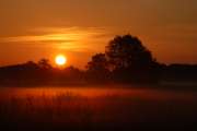 2009_06_01_109_Pfingsten