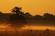 2009_06_01_11_Bruch