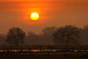 2010 01 22_Bruch_0217