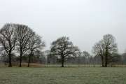 2010 01 23_Bruch_0001