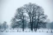 2010_01_09_2_Winter