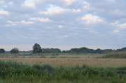 2010_06_26_335_Bruch