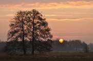 2011_02_26_069_Bruch300