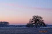 2011_03_20_0002_Bruch500