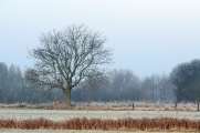 2011_11_20_0026_100300D7000