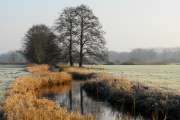 2012_01_28_0059_DiverseP7100