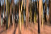 2012_02_05_0550_DiverseD7000