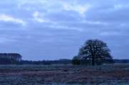 2012_04_01_0020_Bruch