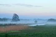 2012_04_30_0640_Telefoto