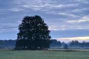 2012_11_04_0244_Schmalwinkel