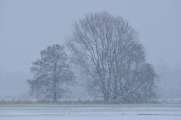 2013_02_09_0083_Februar_Makro