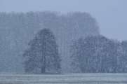 2013_02_09_0089_Februar_Makro
