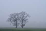2013_02_16_0222_Februar_Tele