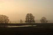2013_02_16_0363_Februar_310