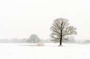 2013_03_29_0106_TELE_LR