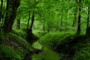 2013_05_18_0028_CoesfeldT_LR