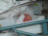 2004_1024JanII0023