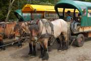 2010_08_15_Zingst (305)