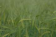 2007_05_17_65_LangesWochenende