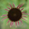 2007_06_23_18_NormalD70s