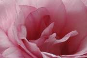 2008_03_21_53Karwoche180