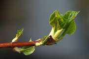 2009_04_06_54_Test50500