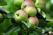 2009_06_30_19_Makro