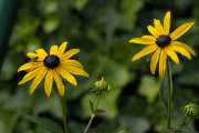 2009_07_26_85_NikonFest