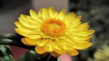 2010_05_29_26_WeekendG10