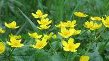 2010_05_Wiskerhof (84)