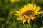 2010_10_23_59_BruchMacro