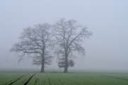 2013_02_16_0228_Februar_Tele