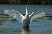 2009_05_31_223_Rieselfelder