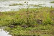 2009_08_30_131_RieselfelderII