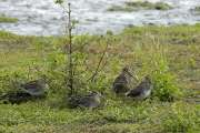 2009_08_30_389_RieselfelderI