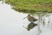 2009_08_30_594_RieselfelderI