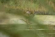 2009_09_28_233_Rieselfelder