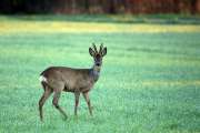 2010 04 02_Bruch_0157