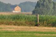 2010_07_10_521_Bruch