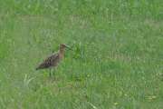 2010_07_31_485_Urlaub