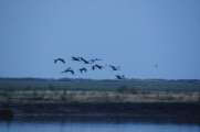 2010_08_15_Zingst (596)