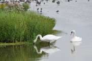 2011_08_27_0529_Rieselfelder
